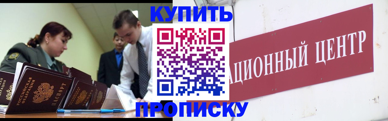 прописка поиск в Купино